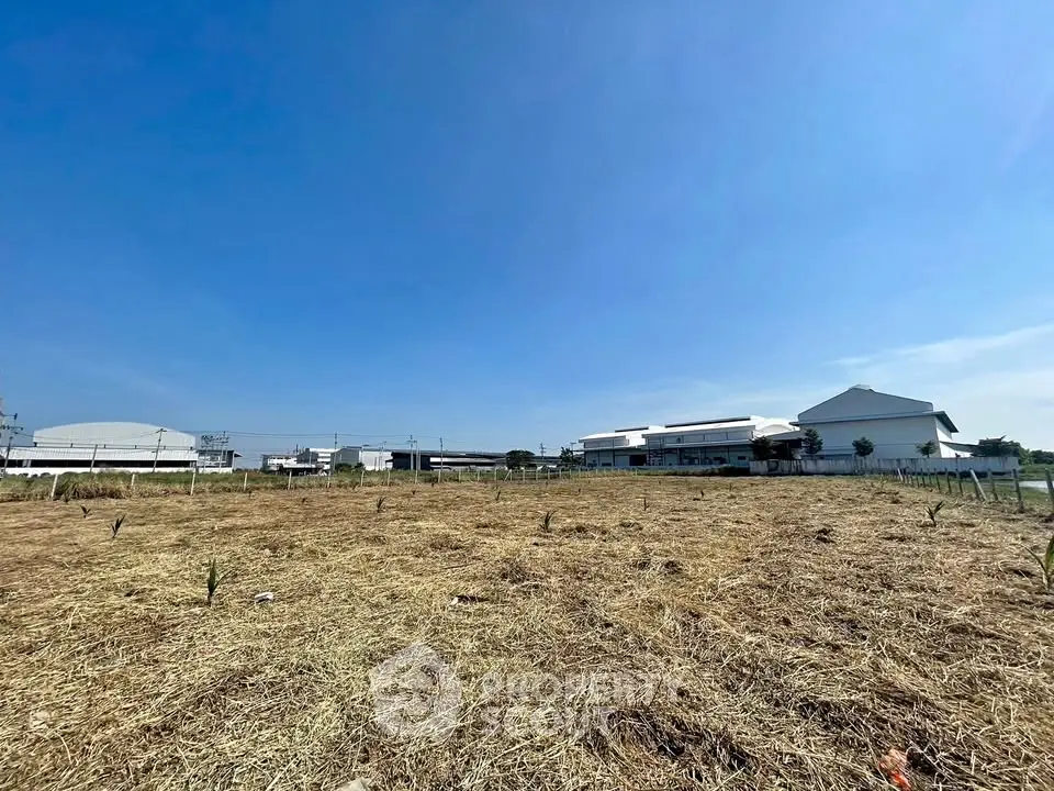 Expansive land plot with clear blue sky, ideal for development opportunities.