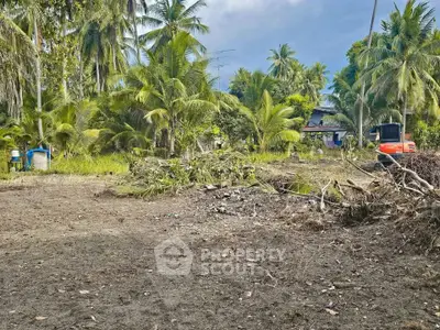 Spacious tropical land plot with lush greenery and potential for development.
