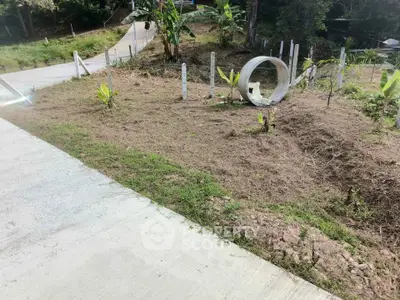 Spacious plot of land with paved path and lush greenery, ideal for development.