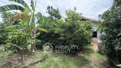 Lush garden view with tropical plants and partial house exterior, perfect for nature lovers.