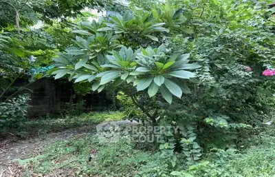 image_rental-21886760