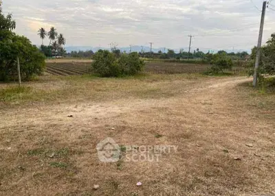 Expansive rural land with scenic views, perfect for development or agriculture.