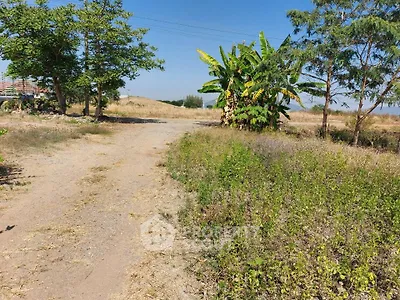 Expansive plot of land with lush greenery and clear blue sky, perfect for development opportunities.
