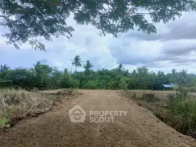 Expansive land plot with lush greenery and tropical trees, perfect for development.