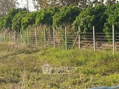 Lush green landscape with sturdy fence and dense foliage, perfect for serene living.