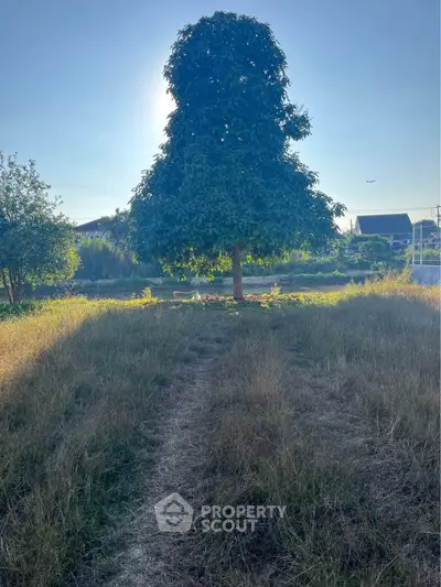 Expansive garden view with lush greenery and a prominent tree, perfect for nature lovers seeking tranquility.