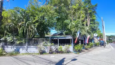 Charming tropical property with lush greenery and vibrant flags on a sunny street corner.