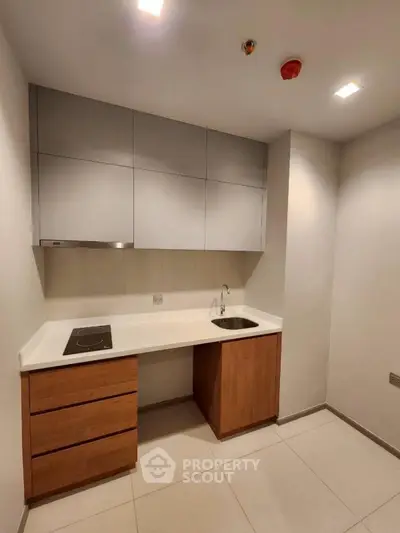 Modern minimalist kitchen with sleek cabinetry and induction cooktop