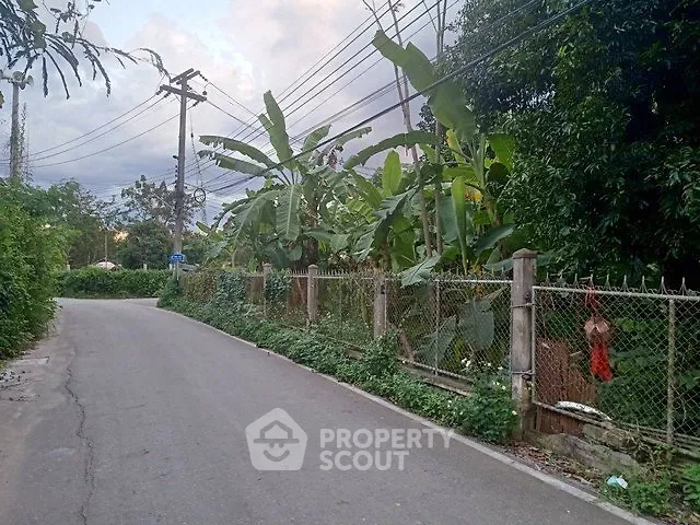 Charming rural road with lush greenery and banana trees, perfect for serene living.