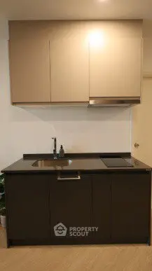 Modern compact kitchen with sleek cabinetry and integrated appliances