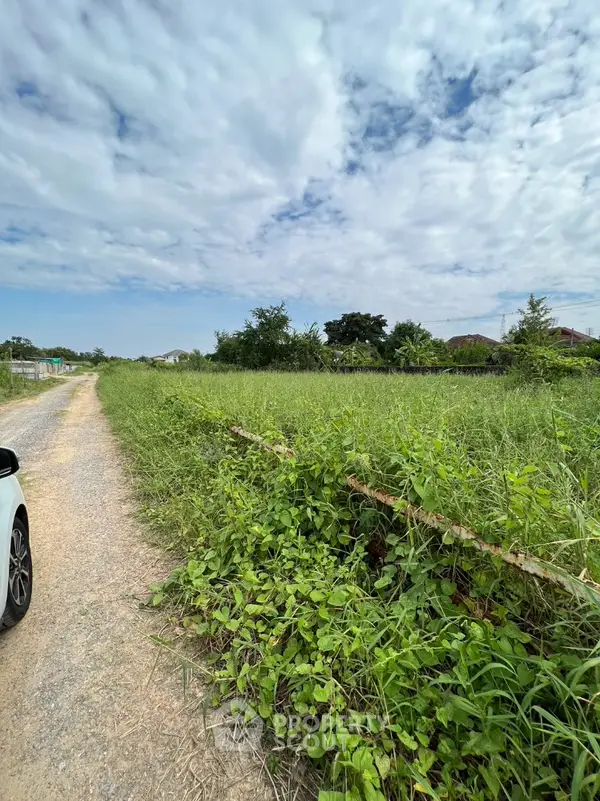 image_rental-19286909