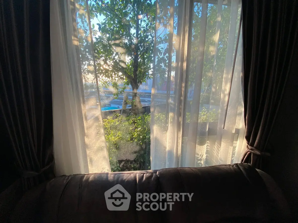 Cozy living room with sunlight streaming through sheer curtains and a view of greenery.