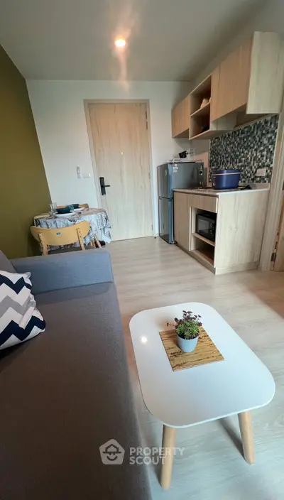 Cozy modern living room with kitchenette, featuring stylish decor and compact design.