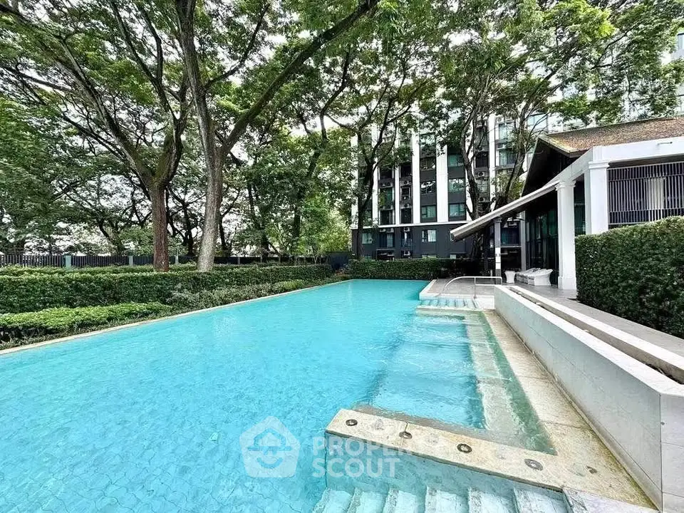 Luxurious residential pool surrounded by lush greenery and modern architecture