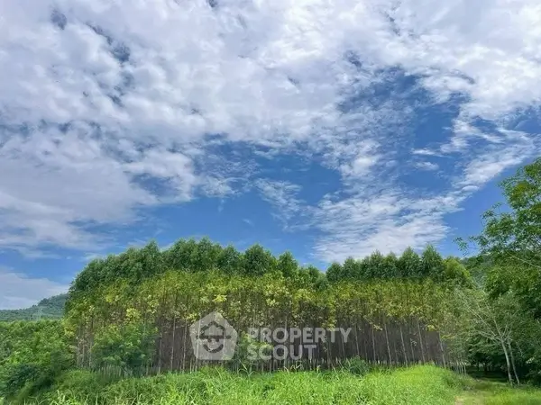 image_rental-27716290