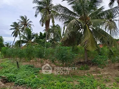 Lush tropical garden with palm trees and greenery, perfect for serene outdoor living.