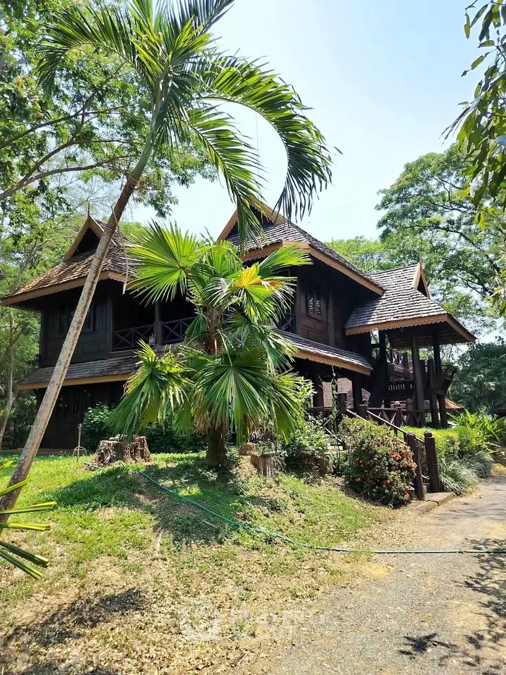 Charming traditional wooden house surrounded by lush greenery, showcasing unique architectural design and serene environment.