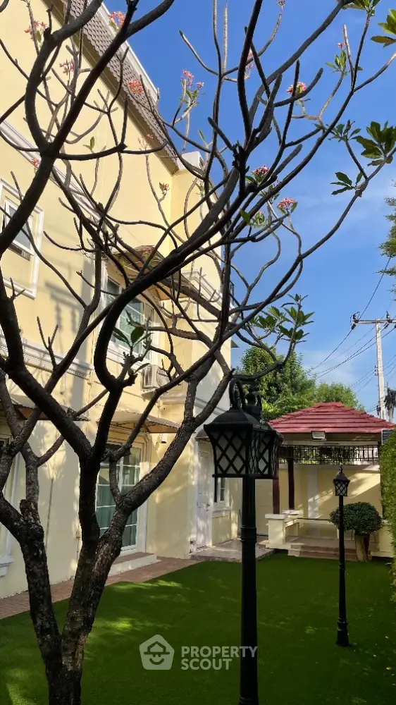 image_rental-12937833