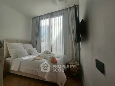 image_rental-30234858