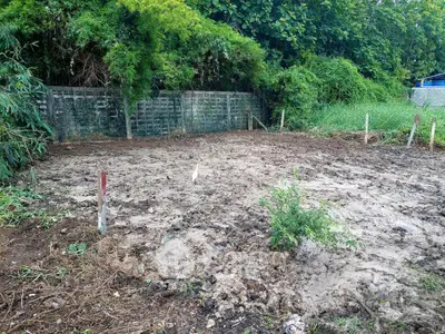 image_rental-27313406