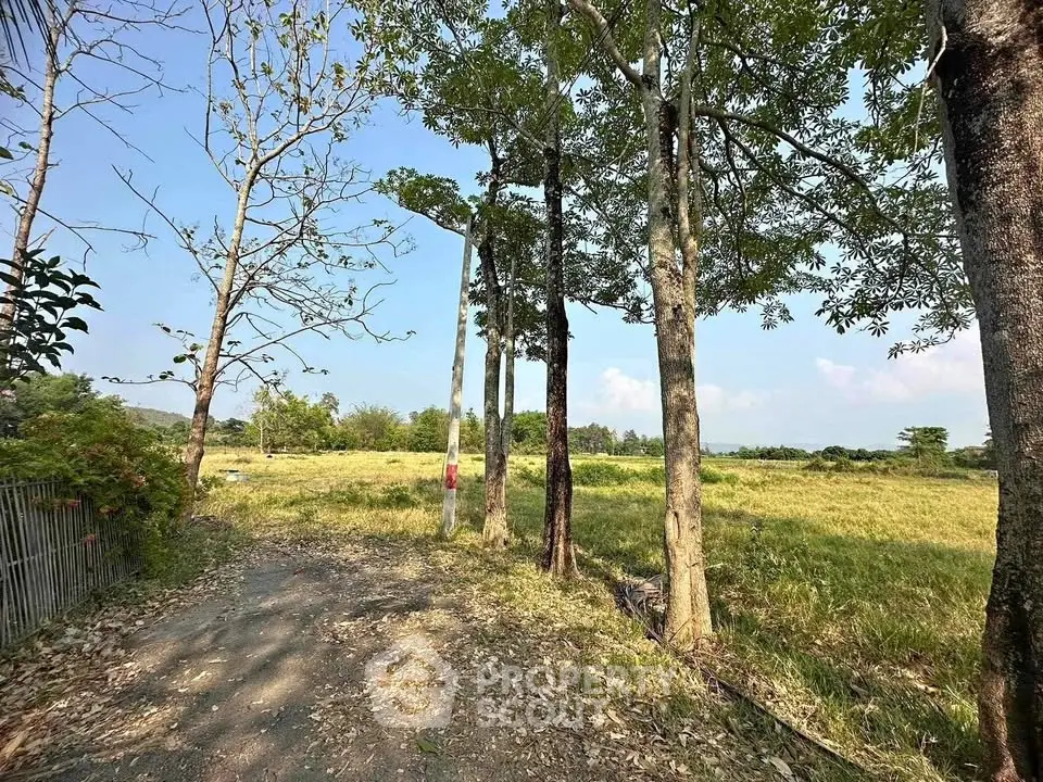 Expansive plot of land with lush greenery and trees, perfect for development or investment opportunities.
