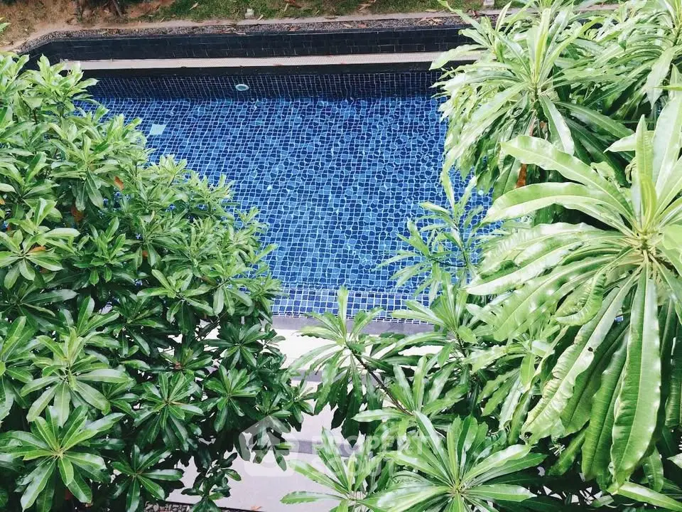 Lush greenery surrounds a serene blue-tiled swimming pool, offering a tranquil oasis for relaxation.
