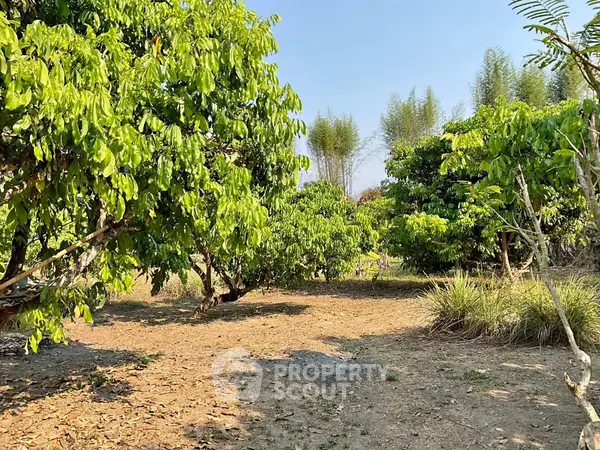 image_rental-31032754