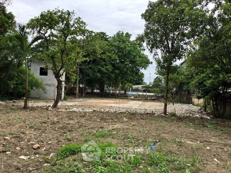 Spacious vacant land with lush greenery, ideal for development in a serene neighborhood.