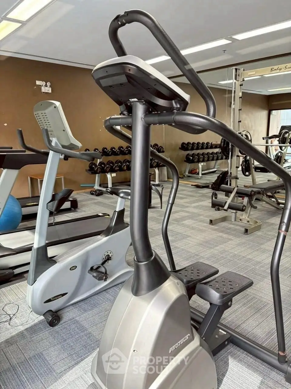 Modern gym with state-of-the-art exercise equipment and weights for fitness enthusiasts.