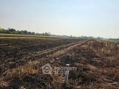Expansive agricultural land with clear skies, ideal for development or farming opportunities.