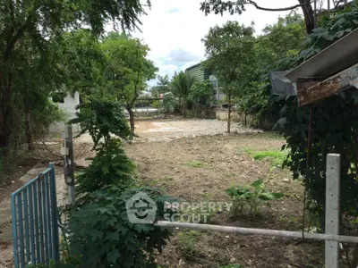 Spacious vacant land plot with lush greenery and potential for development