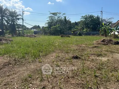 Spacious vacant land with lush greenery, perfect for development opportunities.