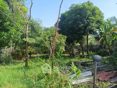 image_rental-29133909