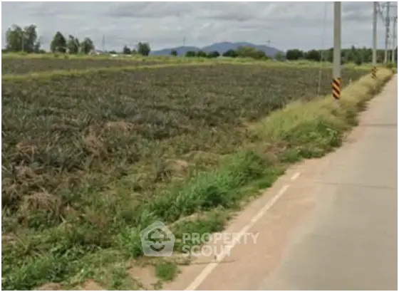 image_rental-27769468