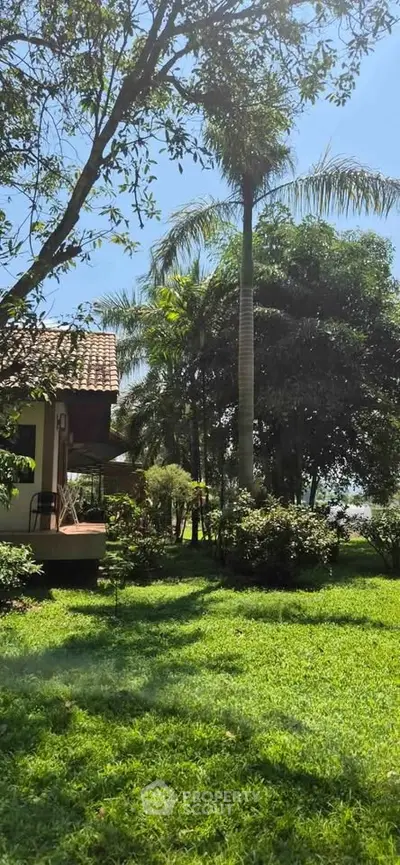 Charming house with lush garden and tall palm trees, perfect for nature lovers.