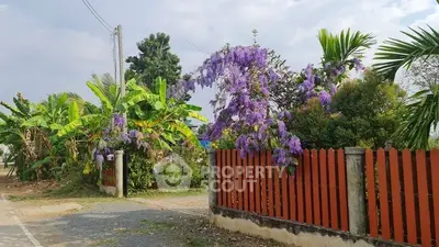 image_rental-29475137