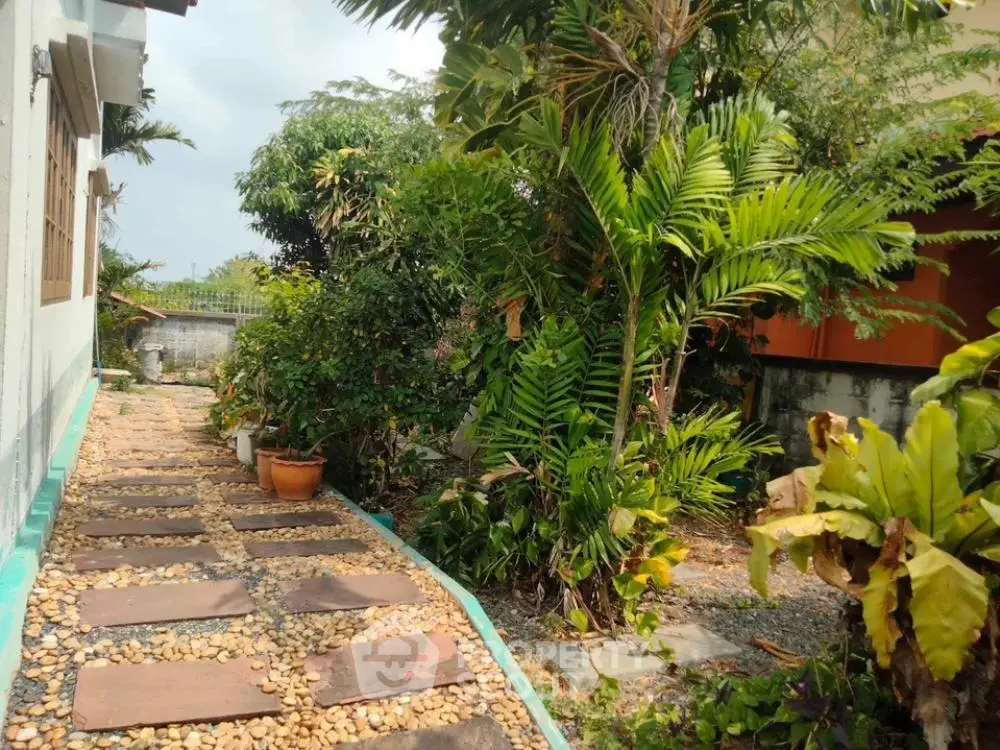 Lush tropical garden pathway in serene residential setting, perfect for nature lovers seeking a tranquil outdoor space.