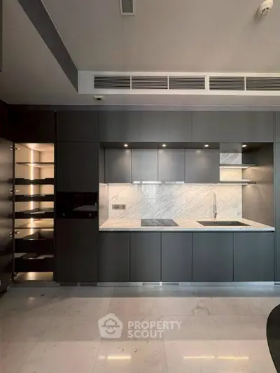 Modern kitchen with sleek dark cabinetry and marble countertops