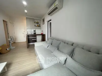 Modern living room with cozy grey sofa and compact kitchen area