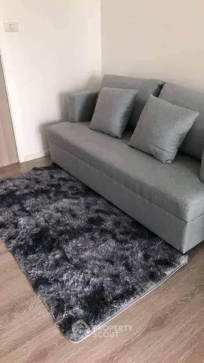 Modern living room with sleek gray sofa and plush rug, perfect for cozy relaxation.