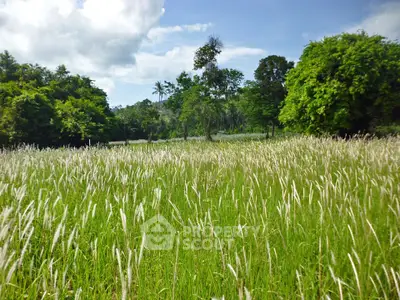 image_rental-11898919