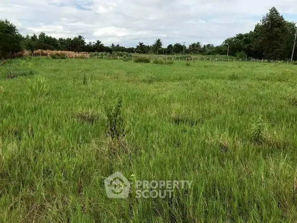 image_rental-29678614