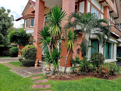 image_rental-29730489