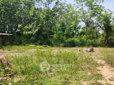 Spacious plot of land surrounded by lush greenery, perfect for development or agriculture.