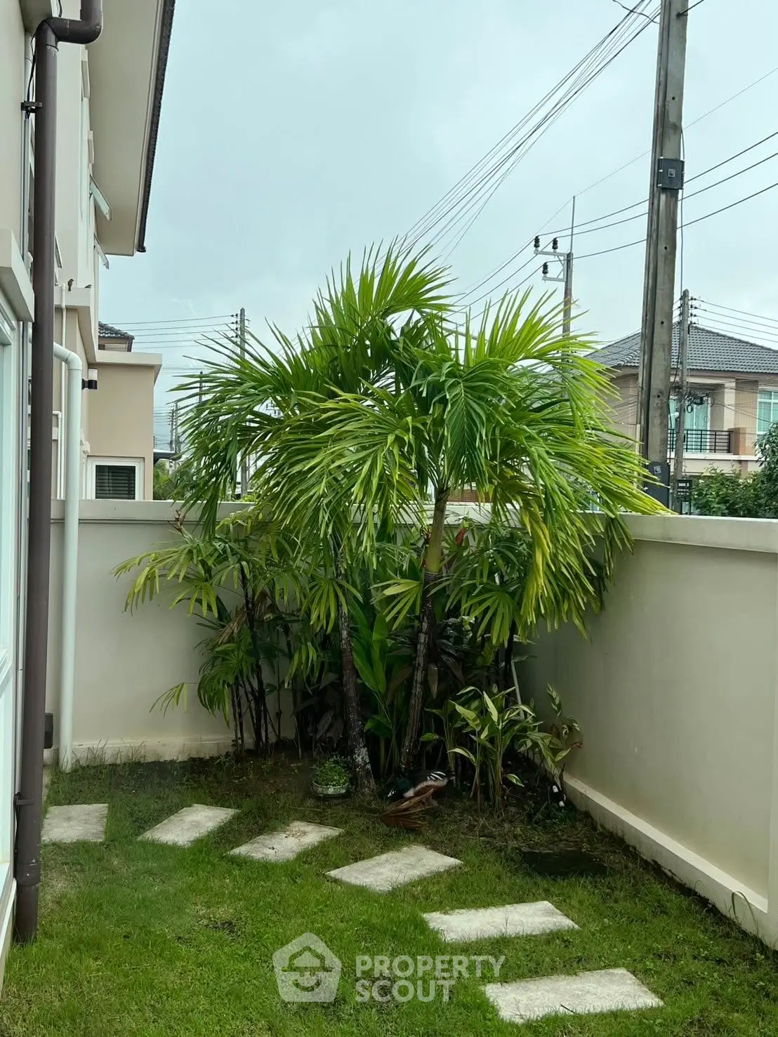 Charming garden corner with lush greenery and stepping stones in a residential backyard.