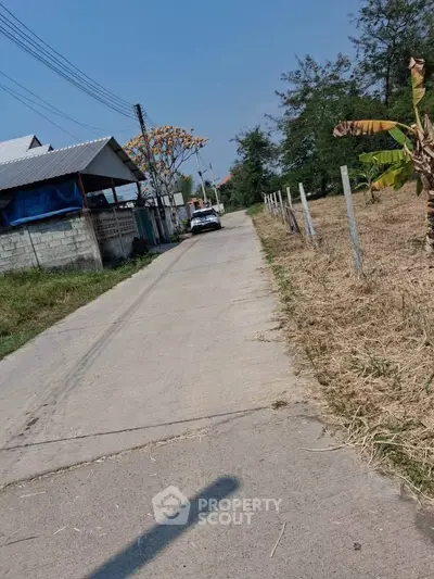 Charming rural road with adjacent houses and lush greenery, perfect for serene living.