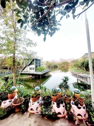 image_rental-31483440