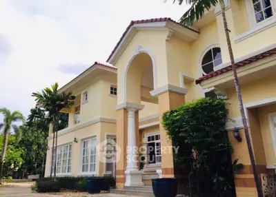 image_rental-29369234