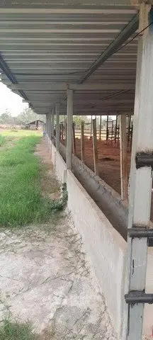 Spacious agricultural property with open-air livestock shelter and lush greenery.