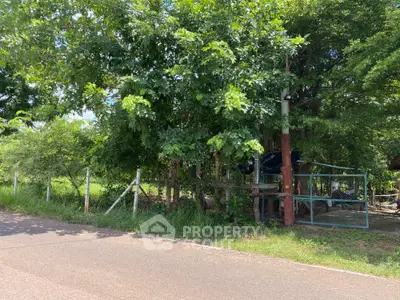 Charming rural property with lush greenery and fenced boundary, ideal for nature lovers seeking tranquility.